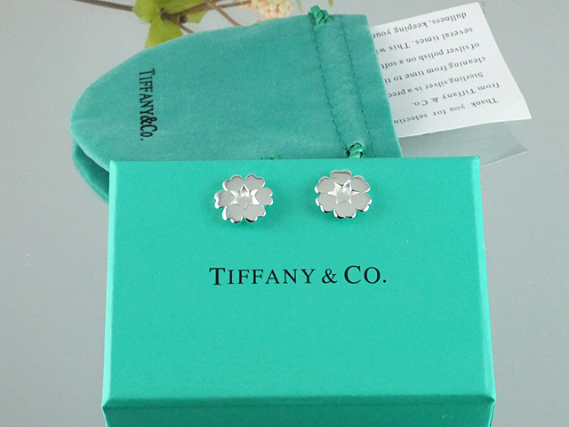 tiffany Earrings-055
